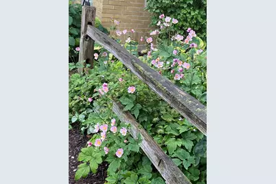 4957 N Lowell Avenue, Chicago, IL 60630 - Photo 22