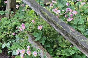 4957 N Lowell Ave, Chicago, IL 60630 - Photo 22