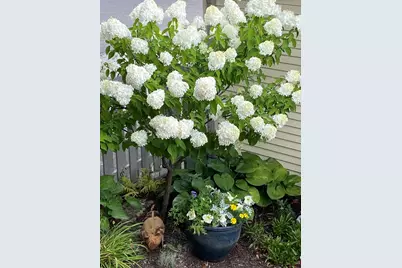 4957 N Lowell Avenue, Chicago, IL 60630 - Photo 24