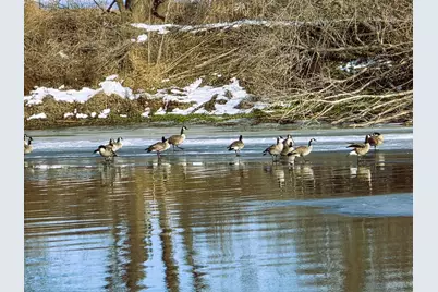 13420 Howard Road, Prophetstown, IL 61277 - Photo 14