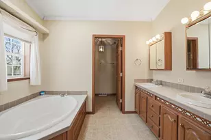 25538 S Shinnecock Dr, Monee, IL 60449 - Photo 14