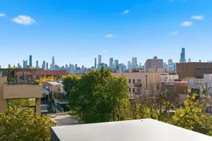 1020 N Marshfield Ave, Chicago, IL 60622 - Photo 32