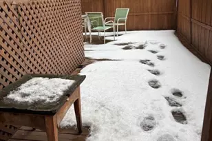 2316 W Cortez St, Chicago, IL 60622 - Photo 20