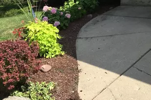 [Address not provided], Downers Grove, IL 60516 - Photo 48