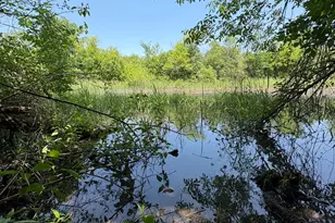 17230 W Il Route 173 Rte, Old Mill Creek, IL 60083 - Photo 10