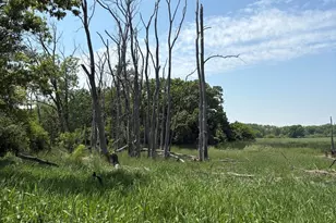 17230 W Il Route 173 Rte, Old Mill Creek, IL 60083 - Photo 8