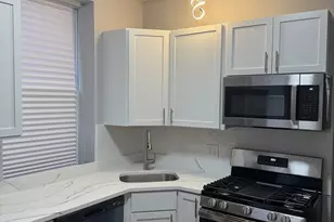 1540 S Ridgeway Ave, Chicago, IL 60623 - Photo 2