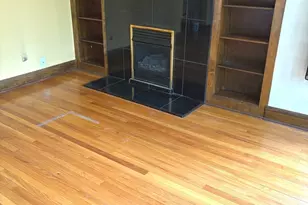 7713 S Cornell Ave, Chicago, IL 60649 - Photo 4