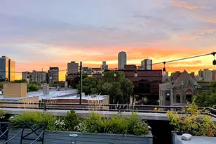 3438 N Elaine Pl, Chicago, IL 60657 - Photo 38