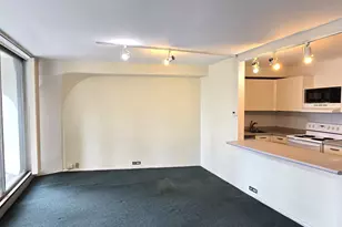 300 N State St, Chicago, IL 60654 - Photo 2