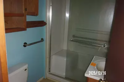 816 S Fifth Street, Hoopeston, IL 60942 - Photo 8