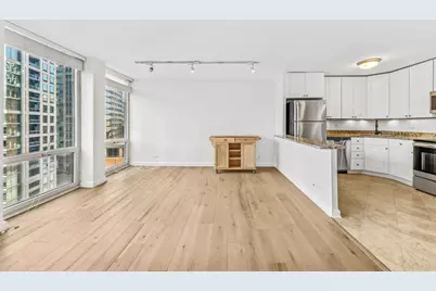 111 E Chestnut Street #20B, Chicago, IL 60611 - Photo 12