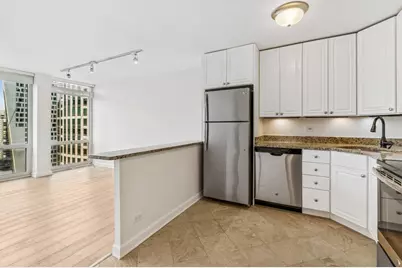 111 E Chestnut Street #20B, Chicago, IL 60611 - Photo 14