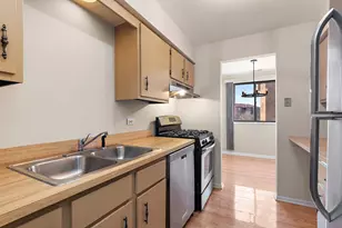 15723 Peggy Ln, Oak Forest, IL 60452 - Photo 4