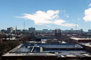 466 N Paulina St, Chicago, IL 60622 - Photo 30