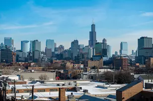 466 N Paulina St, Chicago, IL 60622 - Photo 26