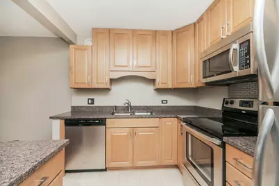 10 E Ontario Street #4607, Chicago, IL 60611 - Photo 2