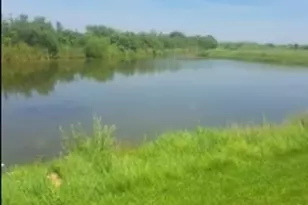 6704 Bridle Path Dr, Matteson, IL 60443 - Photo 8