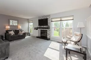 724 Wildflower Cir, Naperville, IL 60540 - Photo 12