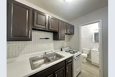 4537 N Dover Street #1D, Chicago, IL 60640 - Photo 6