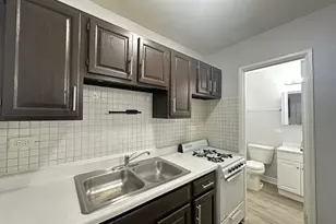 4537 N Dover St, Chicago, IL 60640 - Photo 6