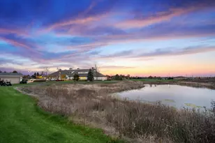 672 N Falls Circle, Pingree Grove, IL 60140 - Photo 20