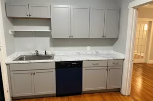 229 Washington Blvd, Oak Park, IL 60302 - Photo 8