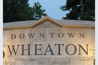 1217 Sunset Road, Wheaton, IL 60189 - Photo 36