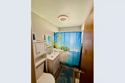 6906 W 91st Street, Bridgeview, IL 60455 - Photo 18