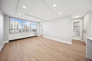 88 W Schiller St, Chicago, IL 60610 - Photo 10