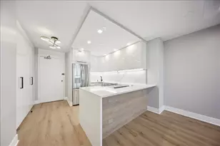 88 W Schiller St, Chicago, IL 60610 - Photo 6