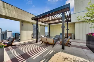 100 E Bellevue Pl, Chicago, IL 60611 - Photo 48