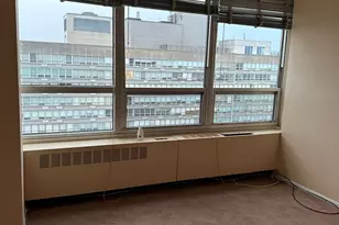 4800 S Chicago Beach Dr, Chicago, IL 60615 - Photo 10