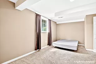 209 Geneva Ln, McHenry, IL 60051 - Photo 34