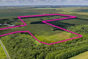 97 49 Acres 2700 North Rd, Ashkum, IL 60911 - Photo 2