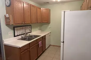 8585 W 101 St Terrace, Palos Hills, IL 60465 - Photo 4