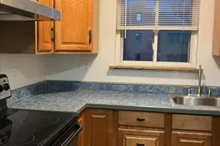 327 Wisconsin Ave, Oak Park, IL 60302 - Photo 6