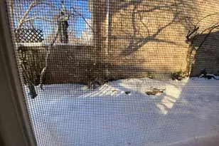 1626 S Luther Ave, Oakbrook Terrace, IL 60181 - Photo 28