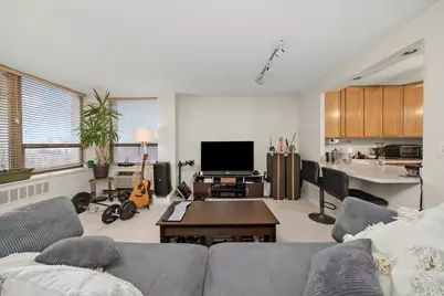 1460 N Sandburg Terrace #705, Chicago, IL 60610 - Photo 6