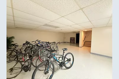 4250 Saratoga Avenue #L305, Downers Grove, IL 60515 - Photo 16