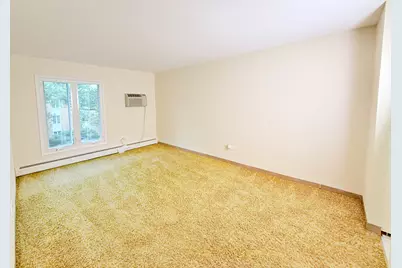 4250 Saratoga Avenue #L305, Downers Grove, IL 60515 - Photo 12