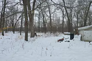 3100 N 17060 Road E, Momence, IL 60954 - Photo 4