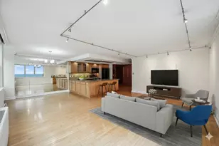 40 E Cedar St, Chicago, IL 60611 - Photo 4