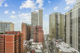 40 E Cedar St, Chicago, IL 60611 - Photo 2