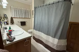 107 N Oneca St, Tonica, IL 61370 - Photo 20