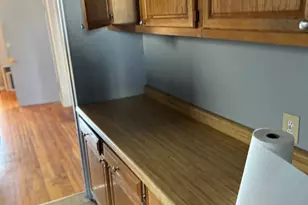 1114 W Polk St, Chicago, IL 60607 - Photo 28