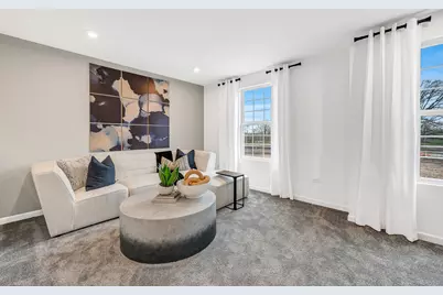 238 Teerling Circle, New Lenox, IL 60451 - Photo 12