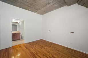 1070 W 15th St, Chicago, IL 60608 - Photo 10