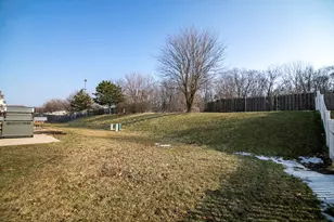 25447 Colligan St, Manhattan, IL 60442 - Photo 22