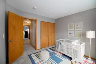 25447 Colligan St, Manhattan, IL 60442 - Photo 16